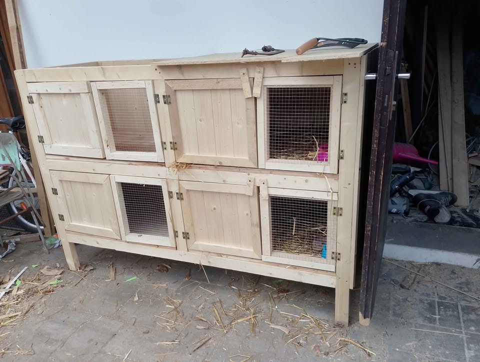 Six-square rabbit hutch