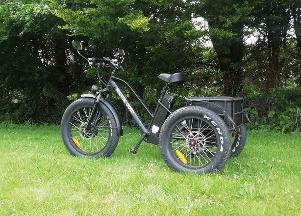 48V 1000W snowmobile Electric three-wheeled fat ebike 20-24inch wheel electric CARGO ebike