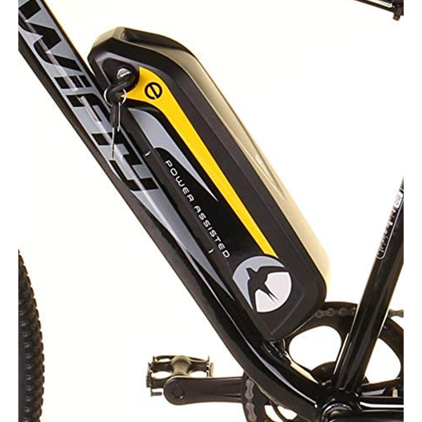 Elektrische Mountainbikes zu einem günstigen Preis